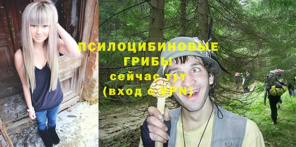 индика Алзамай